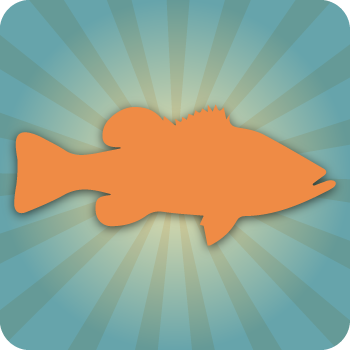 Fish Themed Design Templates
