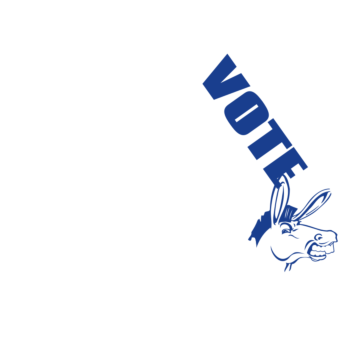Florida Vote Democrat Decal