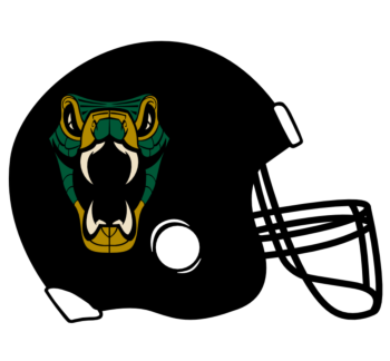 Snakes Football Helmet Decal