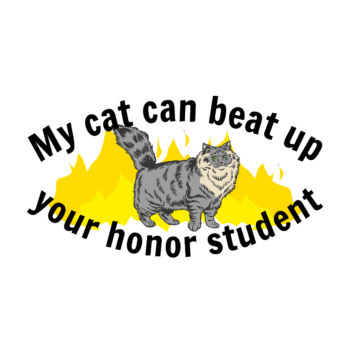 Custom Cat Oval Car Magnet