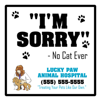 Sorry Cat Square Floor Stickers