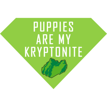 Kryptonite Puppies Superman Magnet