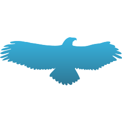 Eagle in Flight Decal