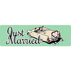 Just Married Custom Bumper Car Magnet