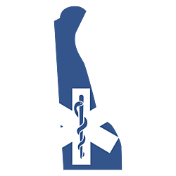 Delaware EMS Decal