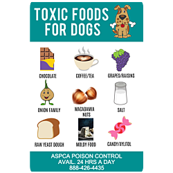 Toxic Foods for Dogs Magnet