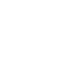 Cupid Is Not Stupid Vinyl Lettering