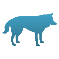 Wolf Decal