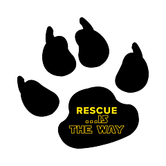 Rescue Dog Print Decal