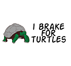 I Brake for Turtles Car Magnet
