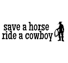 Save a Horse Car Magnet