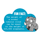 Cloud Fact Magnet