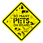So Many Pets On Board Diamond Shaped Car Magnet