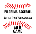 Pilgrims Baseball Decal
