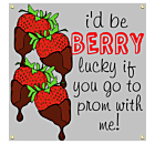 Promposal Vinyl Banner