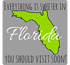 Florida Static Cling