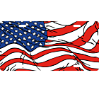 USA License Plate