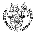 I Would Rather Car Magnet