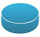 Hockey Puck Static Cling