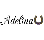 Personalized Horseshoe Decal