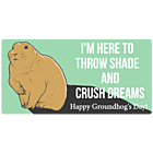 Groundhog's Day Rectangle Magnet