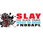 Standing Rock Banner