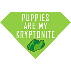Kryptonite Puppies Superman Magnet