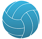 Volleyball Car Magnet