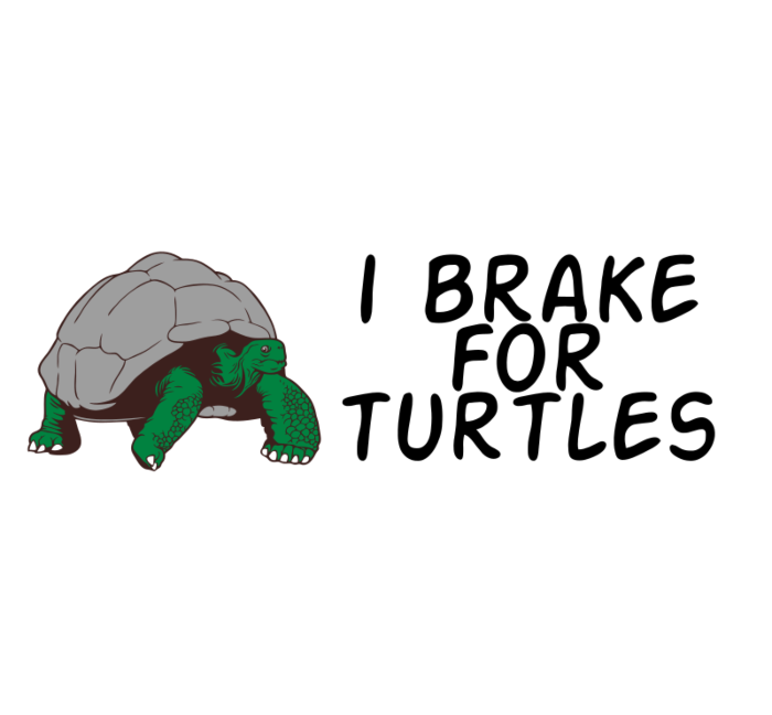 I Brake for Turtles Car Magnet
