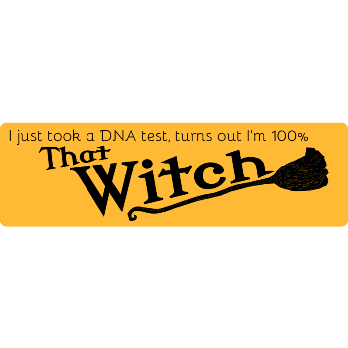 That Witch Bumper Sticker