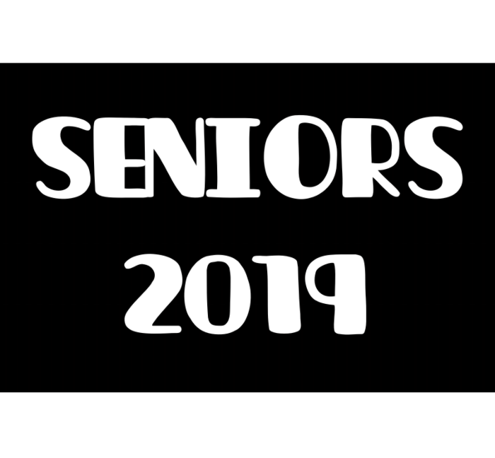Seniors 2019 Corrugated Sign