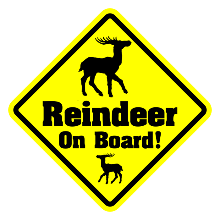 Reindeer On Board Diamond Magnet