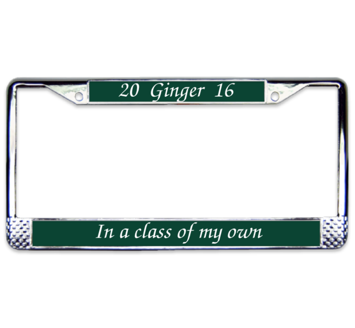 Ginger Chrome License Plate Frame