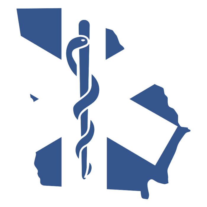Georgia Emergency Medical Decal