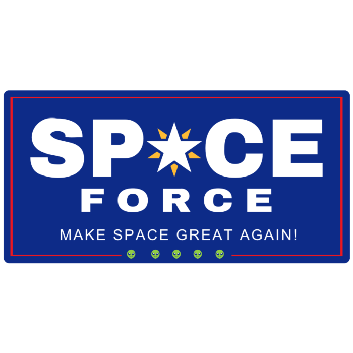 Space Force Rectangle Car Magnet
