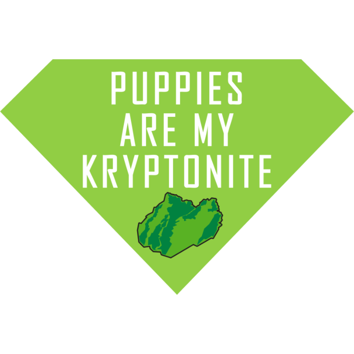 Kryptonite Puppies Superman Magnet