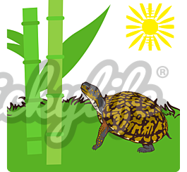 Turtlebox Custom Decal Eastern Box Turtle and Bamboo Square Vinyl Decal