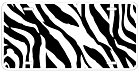 Zebra License Plate
