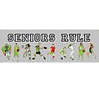 Seniors Rule Vinyl Banner 
