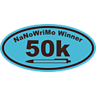 National Novel Writing Month NaNoWriMo Winner Oval Car Magnet