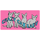 Custom Crazy Cat Lady Rectangle Car Magnet