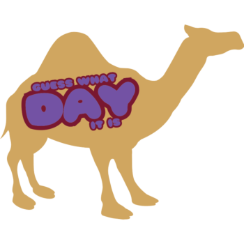 Guess What Day It Is Hump Day Camel Shaped Vinyl Decal