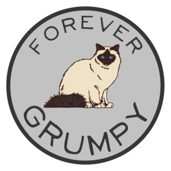 Forever Grumpy Cat Circle Car Magnet