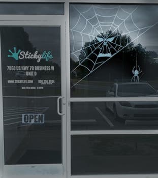 Deadly Web Halloween Spiderweb Window Static Cling Example Image