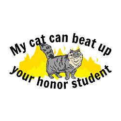 Custom Cat Oval Car Magnet