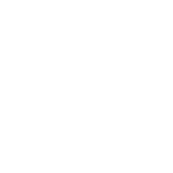 Team Jackson Vinyl Lettering